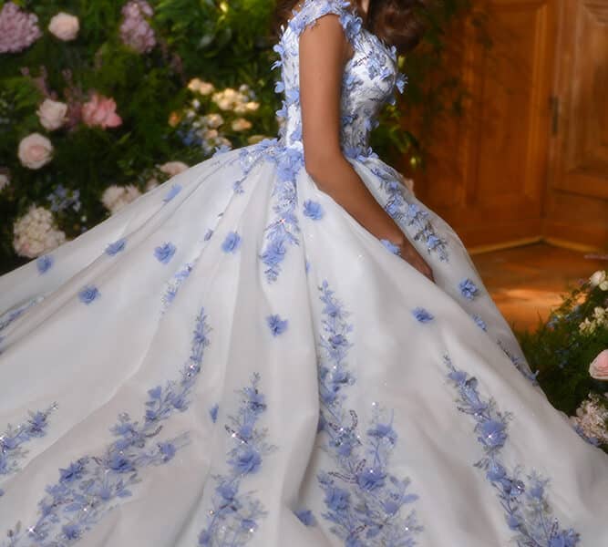 Vladiyan Royal 2025 Bridal Gown Collection, "Style 502520"